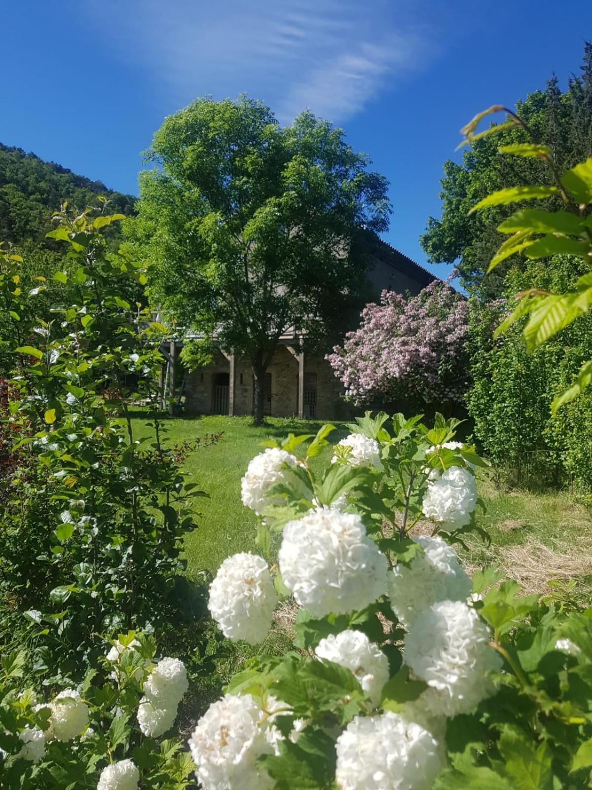Les Gites Du Saro Chabestan Esterno foto